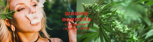 PSILOCYBIN Волосово